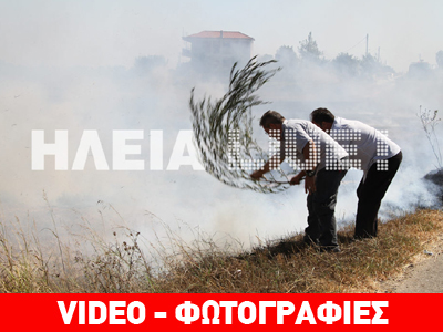 Πύργος: Οι φλόγες έφτασαν στις αυλές των σπιτιών