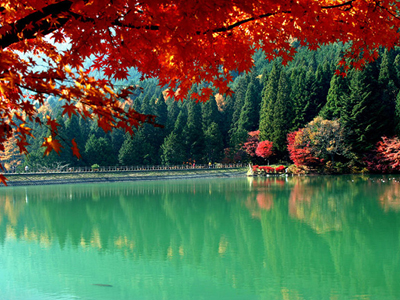 ΤΑ ΝΕΑ ΤΟΥ ΜΠΙ-ΚΟΥ-ΤΙ