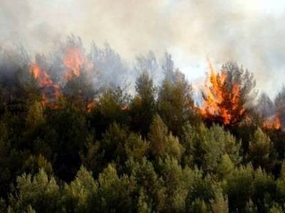 Σε εξέλιξη πυρκαγιά στη Θεσπρωτία