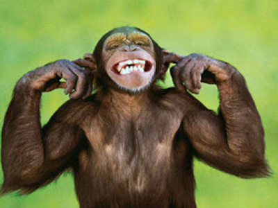 Ο «ερευνητής» της μαϊμού λίστας Λαγκάρντ πετά λάσπη στη Ζούγκλα