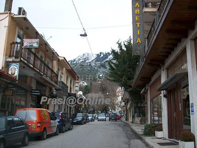 Καρπενήσι: Χριστουγεννιάτικο «σαφάρι» του ΣΔΟΕ