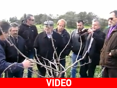Κρήτη: Με επιτυχία πραγματοποιήθηκαν τα σεμινάρια αμπελιού