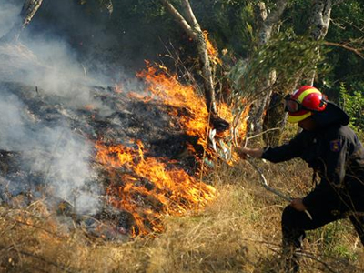 Σε εξέλιξη πυρκαγιά στη Χαλκιδική Σε εξέλιξη πυρκαγιά στη Χαλκιδική