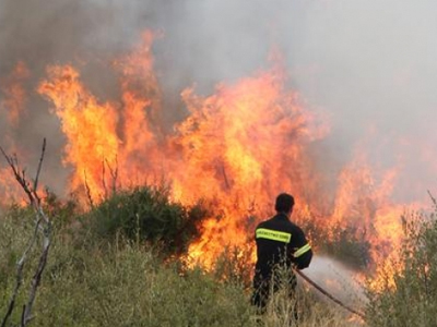 Σε εξέλιξη πυρκαγιά στη Ρογδιά Ηρακλείου