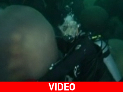 Tσούχτρες σε μέγεθος παλαιστή Sumο!