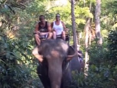 Πάμε μια βόλτα με τον… ελέφαντα;