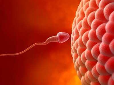 Διατήρηση γονιμότητας μετά από παραμελημένη συστροφή μονήρους όρχεως