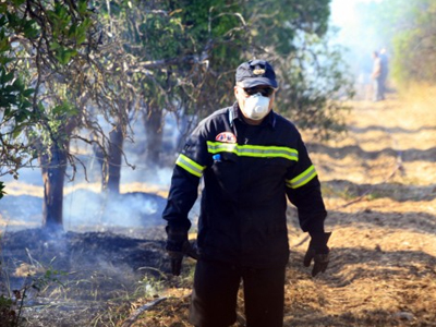 Σε ύφεση η πυρκαγιά στη Σητεία