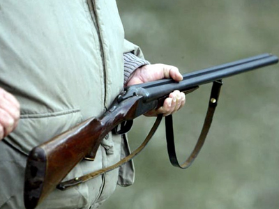 Αγριόχοιρος τραυμάτισε θανάσιμα κυνηγό στις Μηλιές Μαγνησίας