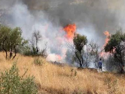 Κρήτη: Μαίνεται πυρκαγιά στον Άγιο Νικόλαο Κρήτη: Μαίνεται πυρκαγιά στον Άγιο Νικόλαο