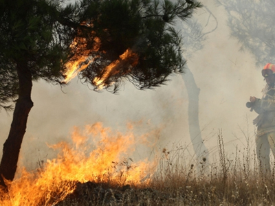 Υπό έλεγχο πυρκαγιά στο Πανόραμα Παλλήνης
