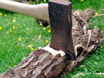 Βαριές «καμπάνες» για τους λαθροϋλοτόμους