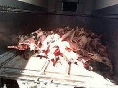 Κατάσχεση 250 κιλών ακατάλληλου κρέατος