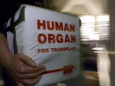 Απορρίπτουν σενάρια εμπορίας οργάνων στην Ελλάδα