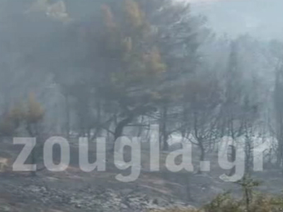 Υπό έλεγχο οι πυρκαγιές σε Αττική και Κεφαλλονιά – Μαίνεται η πυρκαγιά στην Εύβοια