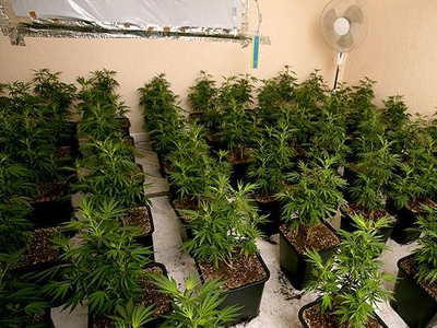 Κατασχέθηκαν 142 κιλά κάνναβης στη Θεσπρωτία