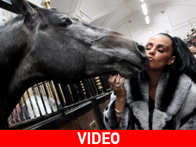 Όταν λείπει ο Alex, φιλάει… άλογα! Όταν λείπει ο Alex, φιλάει… άλογα!