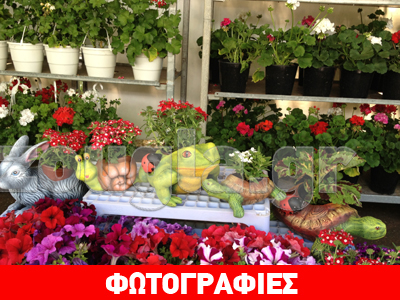 Μυρίζει άνοιξη!