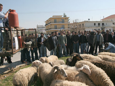 Στους δρόμους οι κτηνοτρόφοι τον Ιούνιο
