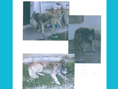 Χάθηκε ο Ρον