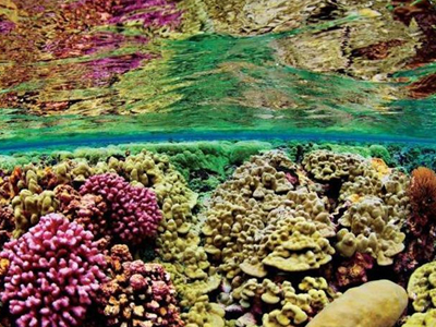 Αντιβιοτικό από θαλάσσιο μικρόβιο