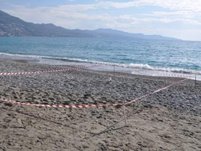 Λουόμενοι βρήκαν χειροβομβίδα σε παραλία της Καλαμάτας