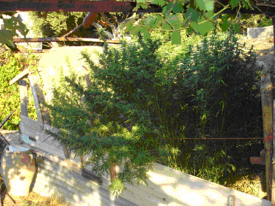 Οι πληροφορίες αποδείχθηκαν σωστές