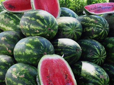 Τους έκρυψαν στα καρπούζια