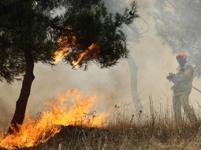 Μαίνεται η πυρκαγιά στο Βαρικό – Έσβησε η φωτιά στην Πέλλα