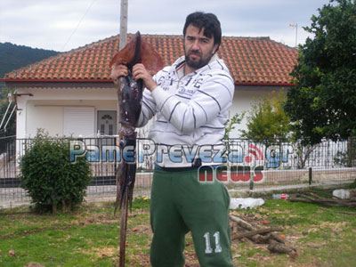 Καλαμάρι…τέρας!