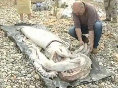 Μεζές… γίγαντας!