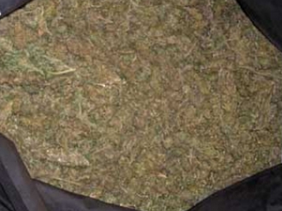 Έκρυβαν την κάνναβη σε βράχο!