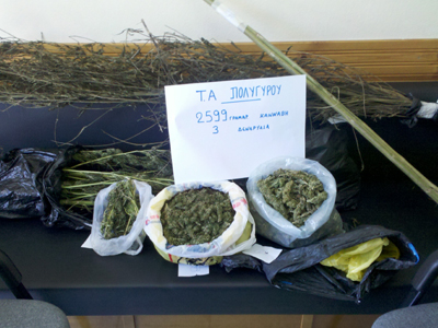 Έκρυβε αποξηραμένα δενδρύλλια κάνναβης στο σπίτι του