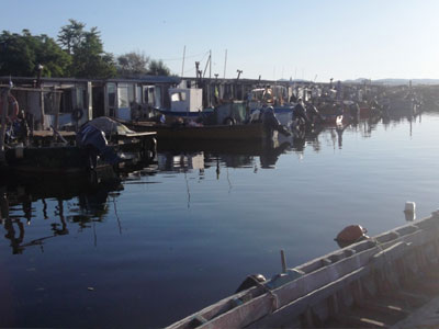 Θαλάσσια ρύπανση στον Μαΐστρο Αλεξανδρούπολης