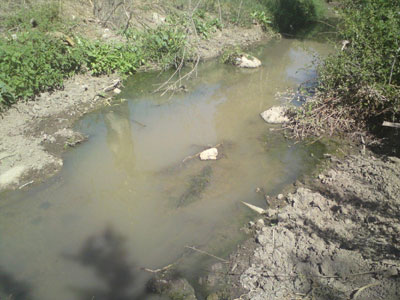 Αυτόφωρο για τους ρυπαίνοντες το περιβάλλον