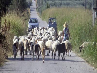 Προσπάθησε να σκοτώσει συγχωριανό του με το αυτοκίνητο!