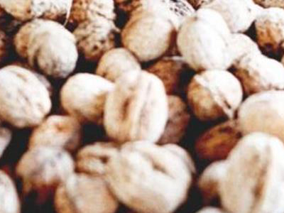 Δεσμεύτηκε ποσότητα «μαμούθ» ακατάλληλης καρυδόψιχας