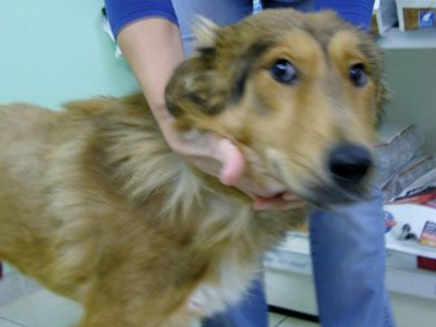 Ο Καρλ ζητεί τη βοήθειά σας