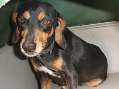 Μια οικογένεια για την ταλαιπωρημένη Καρολίνα