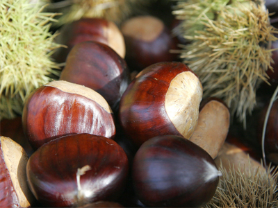 Κάστανα: Ένα υπέροχο σνακ!