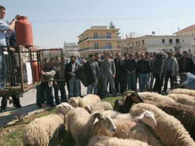 Κατάληψη των γραφείων του ΟΠΕΚΕΠΕ από κτηνοτρόφους