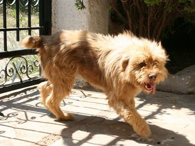 Ο Κάχε ψάχνει παρέα για βολτούλες