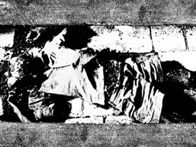 «Το αγκάθι της ομορφιάς»