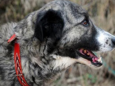 Η Κέιτι θα σας ξετρελάνει!