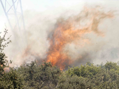 Φωτιά στην Κερατέα