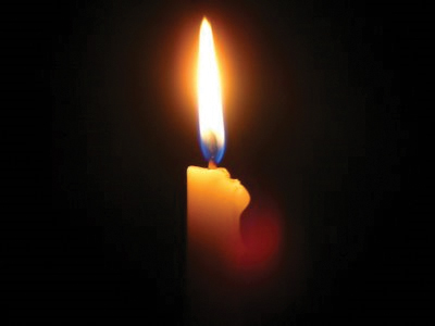 Ζώο βύθισε στο σκοτάδι τη Μεγαλόπολη