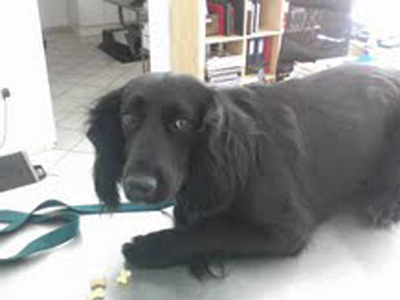 Βρήκε το σπίτι της η Ζοζεφίνα