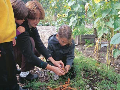 Καταναλώστε τα δικά σας λαχανικά!