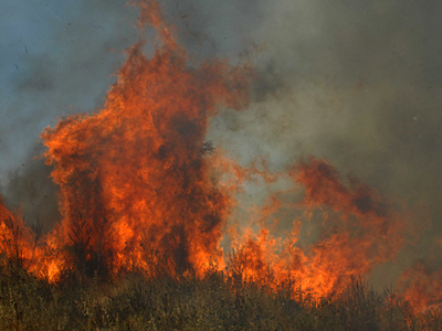 Φωτιά στην Αρχαία Ολυμπία