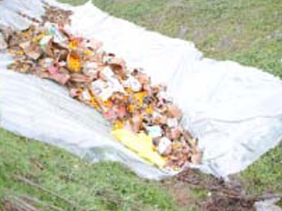 Στην χωματερή ακατάλληλα εσπεριδοειδή